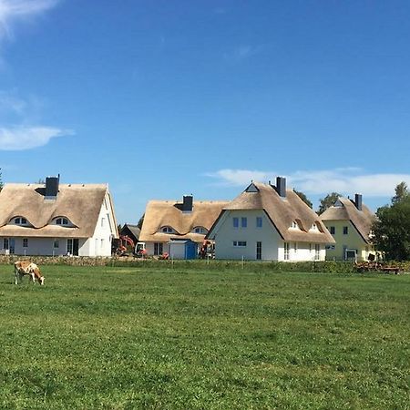 Reetdachhaeuser Boergerende Екстер'єр фото