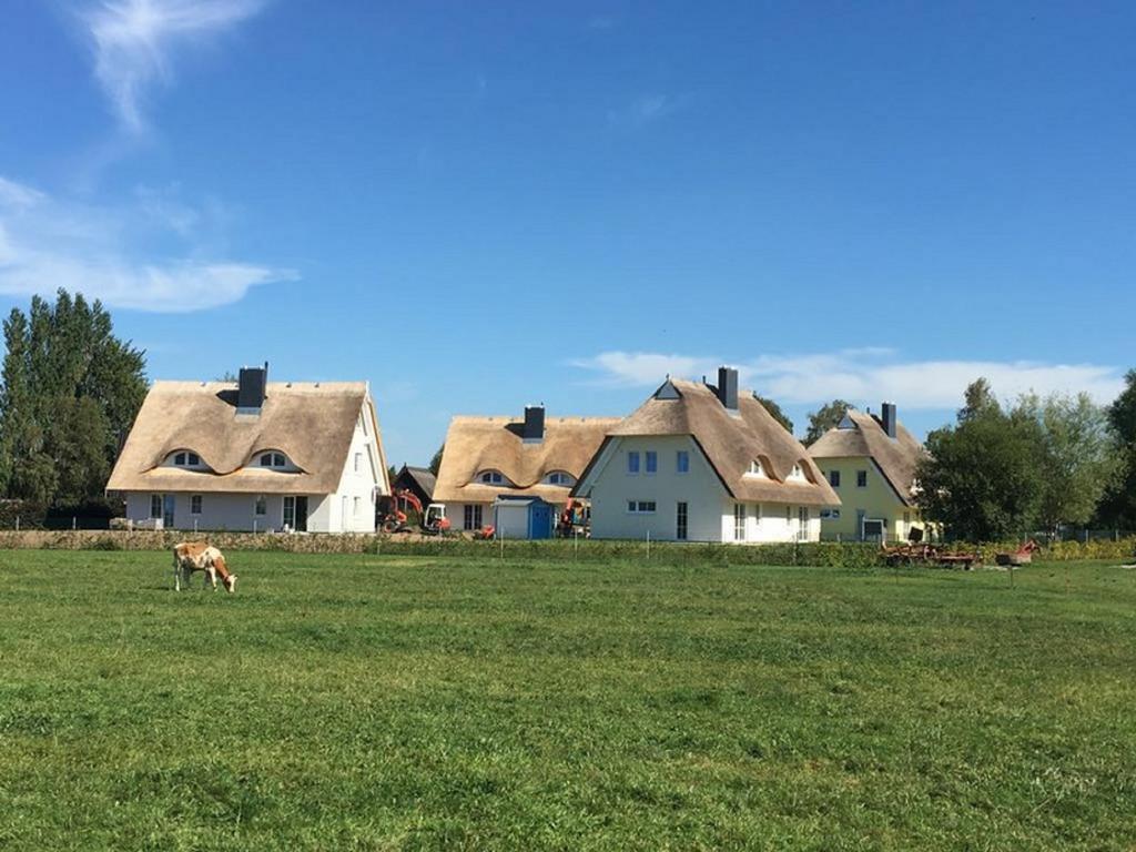 Reetdachhaeuser Boergerende Екстер'єр фото